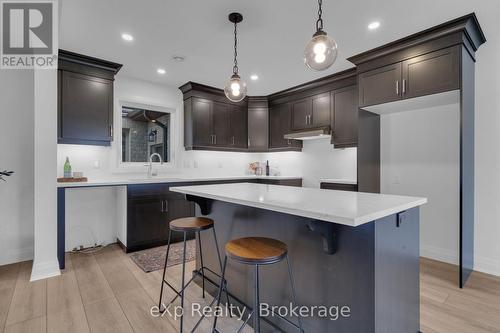 516 Newfoundland Street, Wellington North (Mount Forest), ON - Indoor Photo Showing Kitchen With Upgraded Kitchen