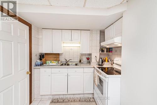 16 Chelsea Crescent, Hamilton, ON - Indoor Photo Showing Kitchen With Double Sink