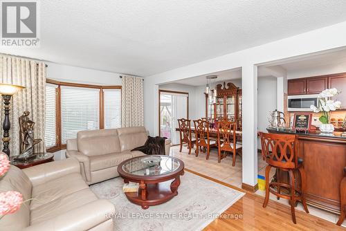 16 Chelsea Crescent, Hamilton, ON - Indoor Photo Showing Living Room