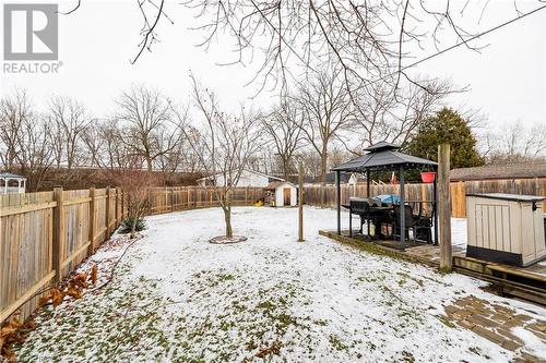 220 Grey Street, Brantford, ON - Outdoor With Backyard