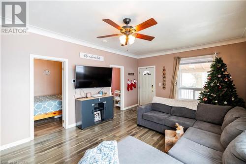 220 Grey Street, Brantford, ON - Indoor Photo Showing Living Room