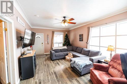 220 Grey Street, Brantford, ON - Indoor Photo Showing Living Room