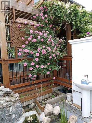 18 Amaretto Court, Brampton, ON - Outdoor With Deck Patio Veranda