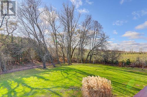 5803 3Rd Line, New Tecumseth, ON - Outdoor With View