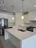 B - 10 Cockburn Street, Ottawa, ON  - Indoor Photo Showing Kitchen With Double Sink With Upgraded Kitchen 