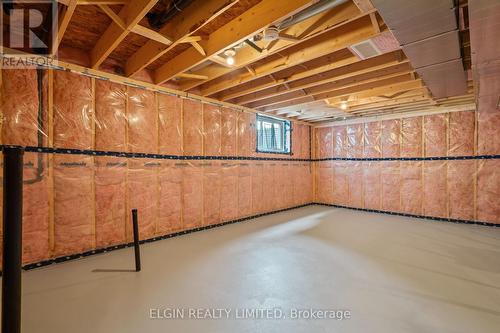 61 Canary Street, Tillsonburg, ON - Indoor Photo Showing Basement