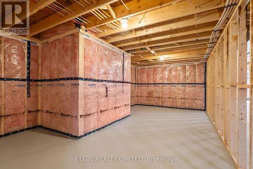 61 Canary Street, Tillsonburg, ON - Indoor Photo Showing Basement