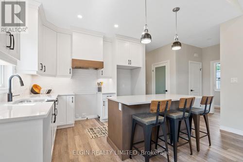 61 Canary Street, Tillsonburg, ON - Indoor Photo Showing Kitchen With Upgraded Kitchen