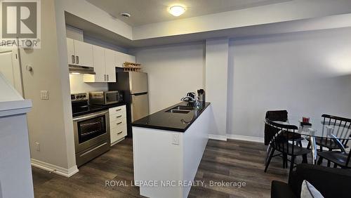 101 - 6705 Cropp Street, Niagara Falls (212 - Morrison), ON - Indoor Photo Showing Kitchen With Stainless Steel Kitchen With Double Sink