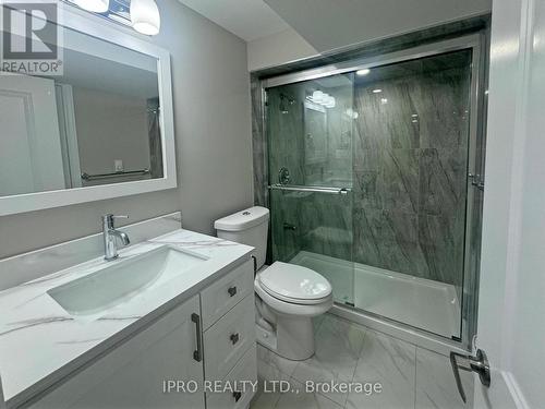 Bsmt - 3261 Respond Road, Mississauga, ON - Indoor Photo Showing Bathroom