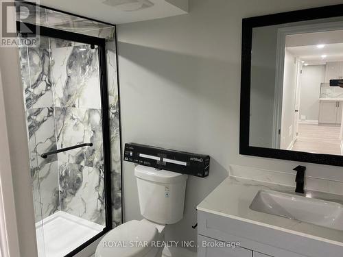 Bsmt - 53 Miracle Trail, Brampton, ON - Indoor Photo Showing Bathroom