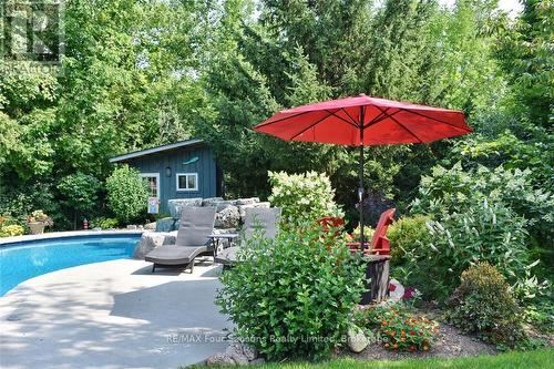 159 Indian Circle, Blue Mountains, ON - Outdoor With In Ground Pool