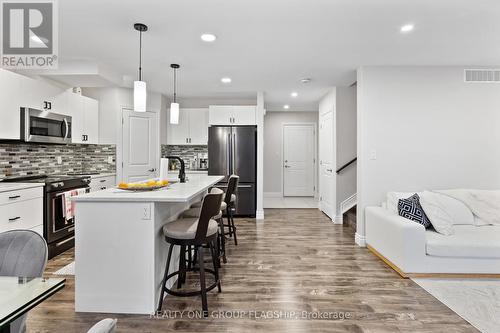 1176 Kamloops Street, Windsor, ON - Indoor Photo Showing Kitchen With Upgraded Kitchen