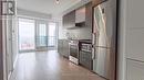 4812 - 251 Jarvis Street, Toronto, ON  - Indoor Photo Showing Kitchen With Stainless Steel Kitchen With Upgraded Kitchen 