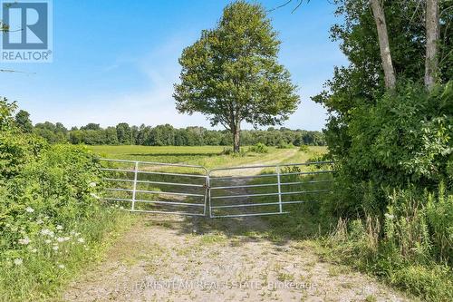 4065 15Th Line, Innisfil, ON 