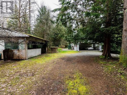 24115 Fern Crescent, Maple Ridge, BC - Outdoor