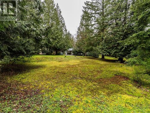 24115 Fern Crescent, Maple Ridge, BC - Outdoor