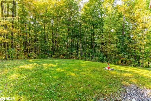 1091 Eashores Road, Haliburton, ON - Outdoor