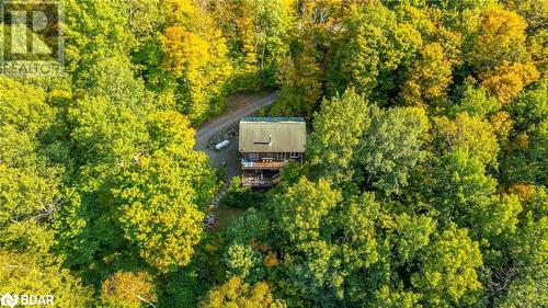 1091 Eashores Road, Haliburton, ON - Outdoor