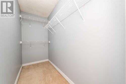 129 Lakeview Inlet, Chestermere, AB - Indoor With Storage