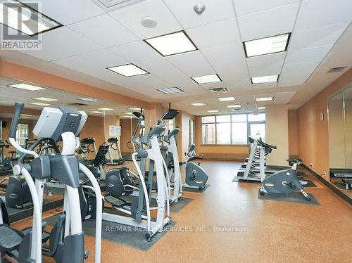 405 - 4080 Living Arts Drive, Mississauga, ON - Indoor Photo Showing Gym Room