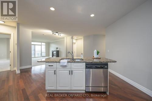 707 - 250 Pall Mall Street, London, ON - Indoor Photo Showing Kitchen