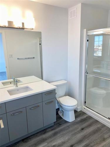 108 Meadowlands Drive, West St Paul, MB - Indoor Photo Showing Bathroom