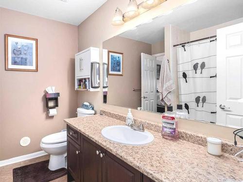 52 Gleave Terr, Milton, ON - Indoor Photo Showing Bathroom