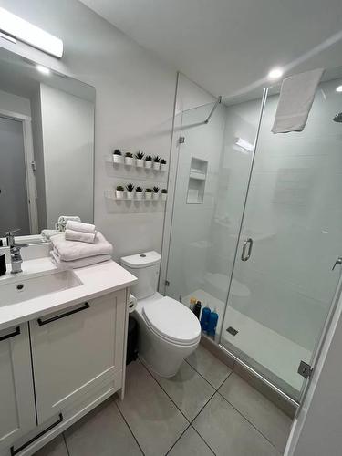 42X 5415 Brydon Crescent, Langley, BC - Indoor Photo Showing Bathroom