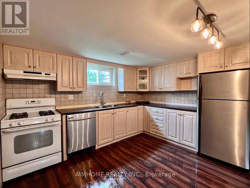 213 Ravenbury Drive, Hamilton, ON - Indoor Photo Showing Kitchen With Double Sink