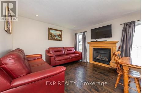 113 Glendore Street, Ottawa, ON - Indoor Photo Showing Living Room With Fireplace