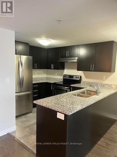 411 - 50 Bryan Court, Kitchener, ON - Indoor Photo Showing Kitchen With Stainless Steel Kitchen With Double Sink With Upgraded Kitchen