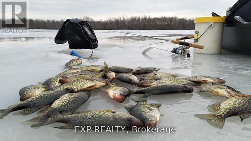 127 Lake Drive N, Georgina, ON - Outdoor With Body Of Water