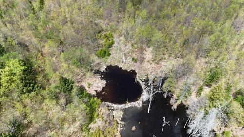 Vue d'ensemble - Ch. Clément, Rawdon, QC 