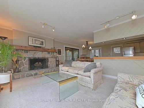 838742 4Th Line E, Mulmur, ON - Indoor Photo Showing Living Room With Fireplace