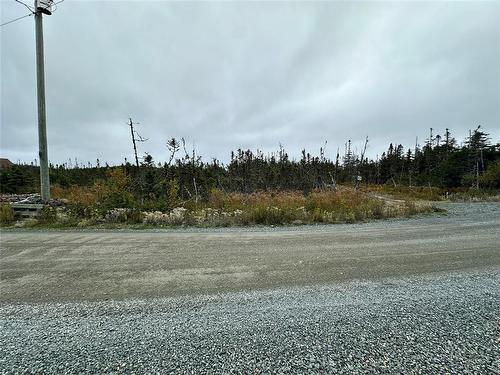 65A Connors Cove Road, Brigus Junction, NL 