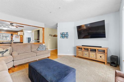 25 Queen Street, Springstein, MB - Indoor Photo Showing Living Room