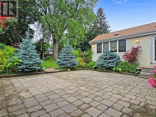 86 Ruggles Avenue, Richmond Hill, ON - Outdoor