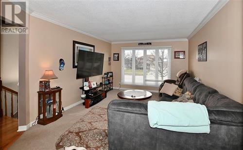 1042 Finch Drive, Sarnia, ON - Indoor Photo Showing Living Room