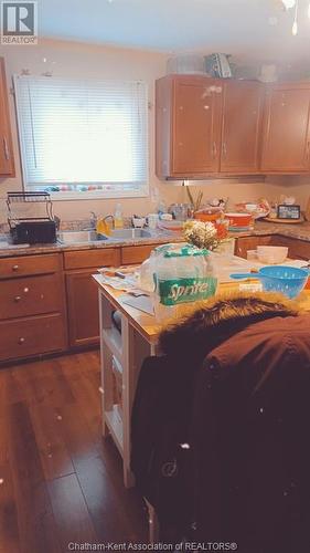 44 Amelia Street, Chatham, ON -  Photo Showing Kitchen With Double Sink