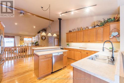 704 Tara Road, Smith-Ennismore-Lakefield, ON - Indoor Photo Showing Kitchen With Double Sink With Upgraded Kitchen