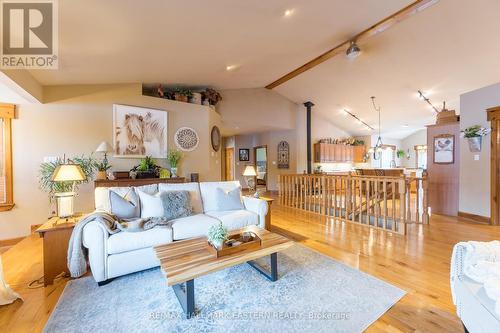 704 Tara Road, Smith-Ennismore-Lakefield, ON - Indoor Photo Showing Living Room