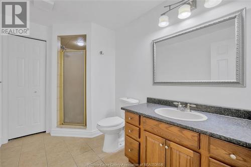 1116 Monarch Meadows Drive, Lakeshore, ON - Indoor Photo Showing Bathroom