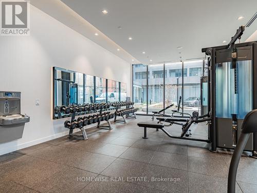 319 - 9 Tecumseth Street, Toronto, ON - Indoor Photo Showing Gym Room