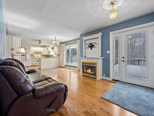 556252 Mulmur Melancthon Town Line, Melancthon, ON - Indoor Photo Showing Living Room With Fireplace