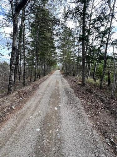 Commercial Lot Route 8, Boiestown, NB 