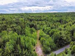 Lot Rear Hwy 101 New Maryland  Rusagonis, NB E3B 0C0