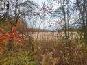 Lot 1 Bush Road, Rideau Lakes, ON 