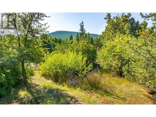 8927 River Avenue, Yahk, BC - Outdoor With View