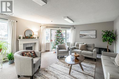 303 - 131 Clapperton Street, Barrie, ON - Indoor Photo Showing Living Room With Fireplace